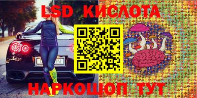 прущие грибы Канаш