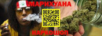 прущие грибы Канаш