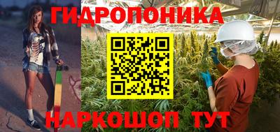 прущие грибы Канаш