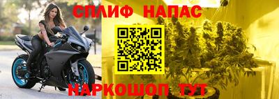 прущие грибы Канаш