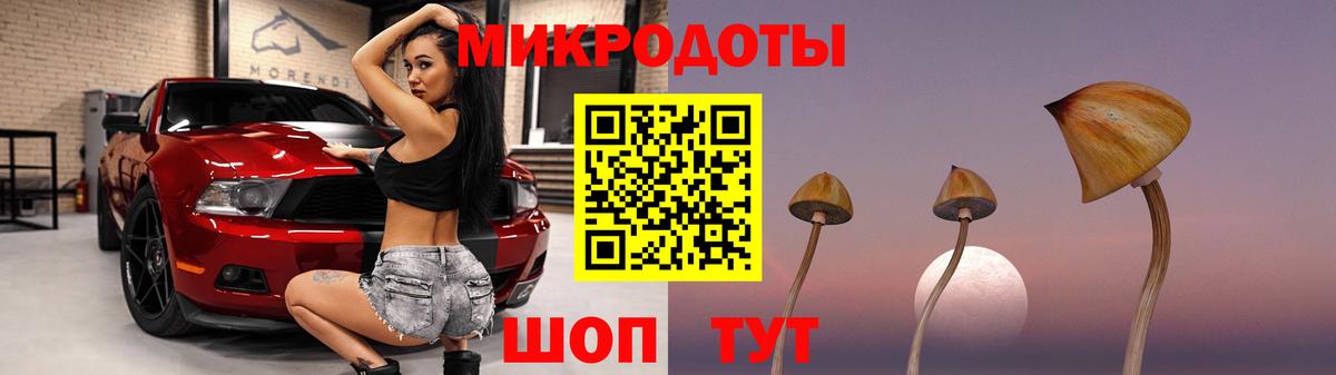 Выкса  Галлюциногенные грибы прущие грибы  Вход с VPN  Галлюциногенные грибы Cubensis 
